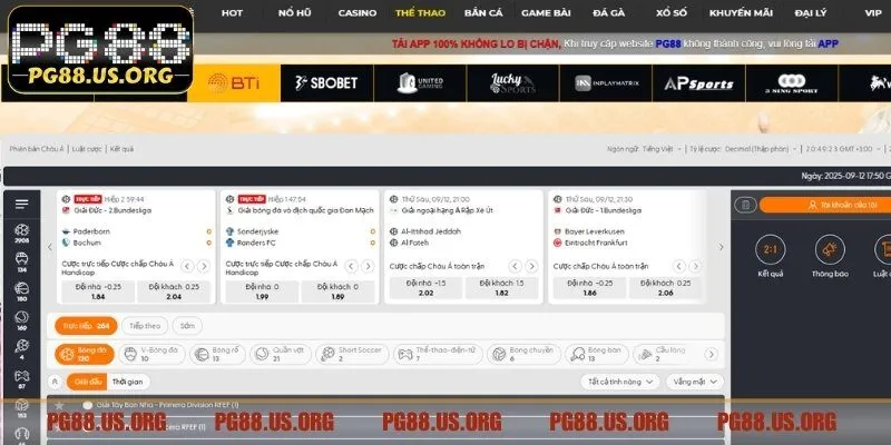 Tham gia giải trí thể thao cực đã